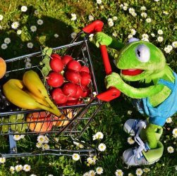 Antichi rimedi naturali e come le erbe possono migliorare il tuo stile di vita 10 Antichi rimedi naturali e come le erbe possono migliorare il tuo stile di vita 9