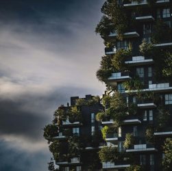 Progettazione giardini: guida completa per creare spazi verdi funzionali e sostenibili 1