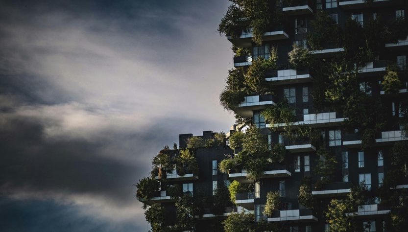 Progettazione giardini: guida completa per creare spazi verdi funzionali e sostenibili 1